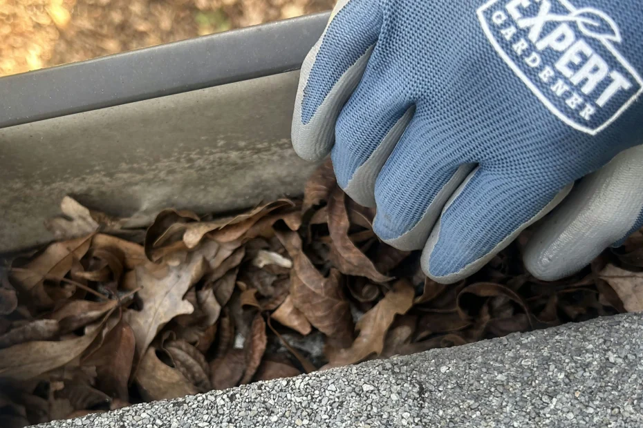 Chester Gutter Cleaning