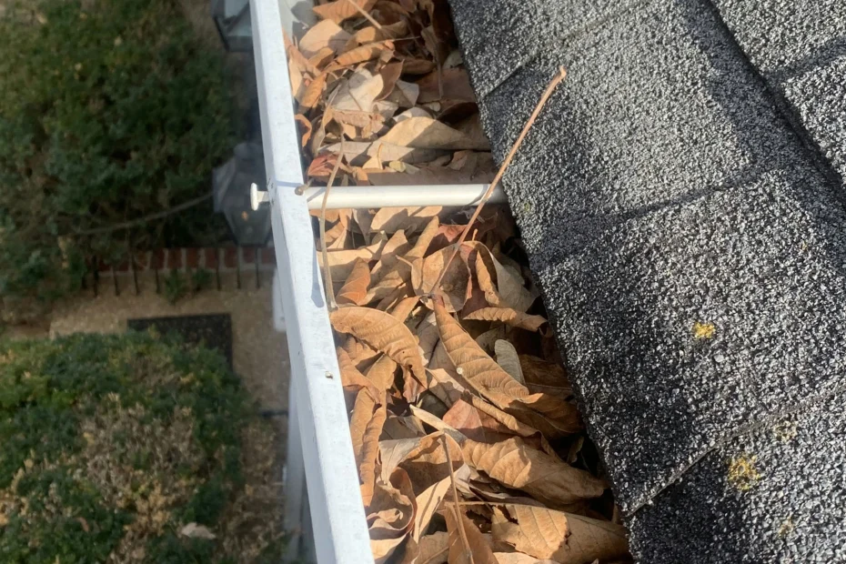 Chester Gutter Cleaning